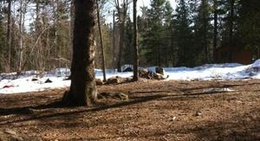 obrázek - Scouts Canada - Tamaracouta Scout Reserve