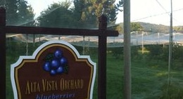 obrázek - Alta Vista Orchard