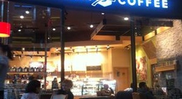 obrázek - Caribou Coffee