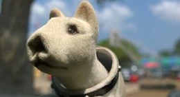 obrázek - ROTNIYOM COFFEE (รสนิยม กาแฟสด)