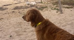 obrázek - Sian kaan