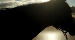 obrázek - Coronet Bay