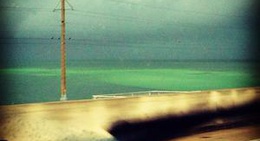 obrázek - Grassy Key