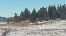 obrázek - Cabin In The Woods