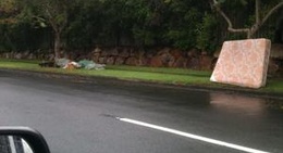 obrázek - Calamvale