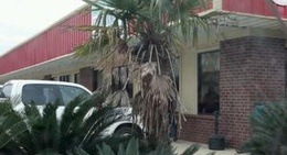 obrázek - Navarre's Bakery