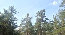 obrázek - Козин