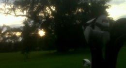 obrázek - Bakrie Bunut Golf Club