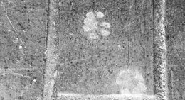 obrázek - The Home Depot