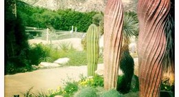 obrázek - Cactus Nijar