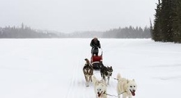obrázek - Chiens et Gîtes du Grand Nord