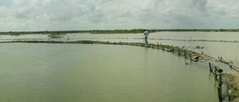 obrázek - San Crisanto