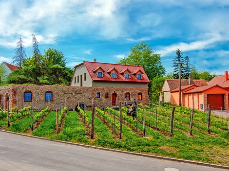 obrázek - Jižní Morava pro milovníky vín v