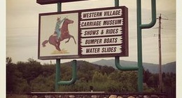 obrázek - White Mountains National Park