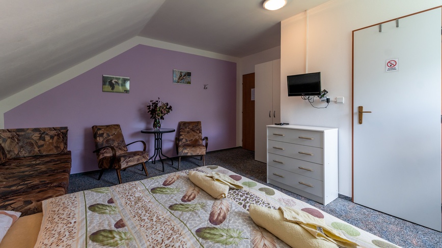 Ubytování u Sýkorů - Pokoj - dvoulůžkový