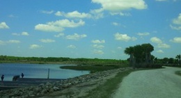 obrázek - Wellington Preserve