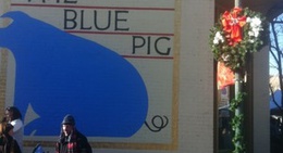 obrázek - Blue Pig Gallery