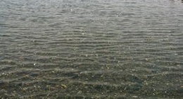 obrázek - 仁淀川の河原