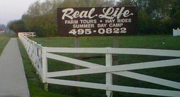 obrázek - Real Life Farm