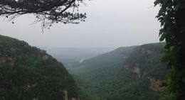 obrázek - West Rim trail at Cloudland Canyon
