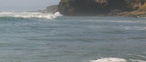 obrázek - Divisadero