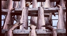 obrázek - Smørfjord