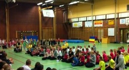 obrázek - Frösåkershallen