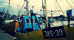 obrázek - Port Jastarnia