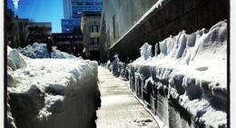 obrázek - Downtown Bridgeport