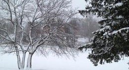 obrázek - Pinafore Park