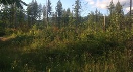 obrázek - The Glen at Maple Falls