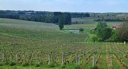 obrázek - Chateau Valandraud