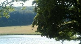 obrázek - Dubník I.