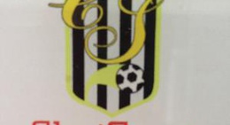 obrázek - CliniSport