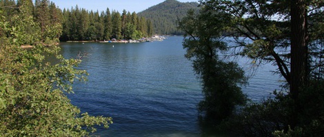 obrázek - Bass Lake