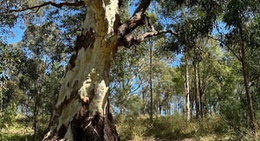 obrázek - Wylde Mountain Bike Trail