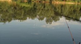 obrázek - Râul Mureș