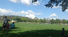 obrázek - Mawson District Playing Fields