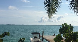 obrázek - barraterre dock