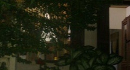 obrázek - Cho Duy Hoa