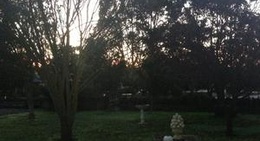 obrázek - Mintaro Maze