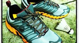 obrázek - Badminton Court