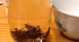 obrázek - 遠刈田温泉郷