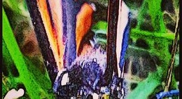 obrázek - Pilot Travel Center