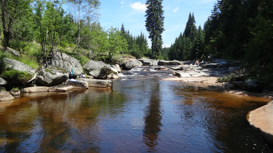 Chata/apartman Beldová - Jizera v létě