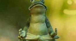 obrázek - Karaöz Hurmalık