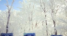 obrázek - Sommet du Mont Blanc