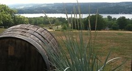 obrázek - Keuka Spring Vineyards