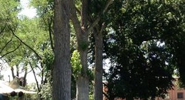 obrázek - Carl Miller Park