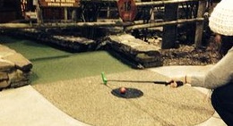 obrázek - Ripley's Davy Crockett Mini Golf